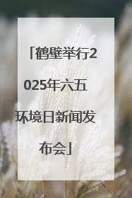 鹤壁举行2025年六五环境日新闻发布会