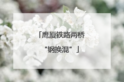 鹰厦铁路两桥“钢换混”