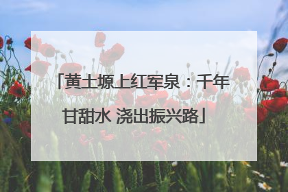 黄土塬上红军泉：千年甘甜水 浇出振兴路