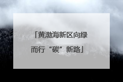 黄渤海新区向绿而行“碳”新路