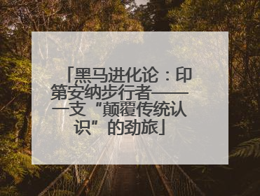 黑马进化论：印第安纳步行者——一支“颠覆传统认识”的劲旅