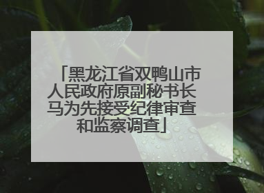 黑龙江省双鸭山市人民政府原副秘书长马为先接受纪律审查和监察调查
