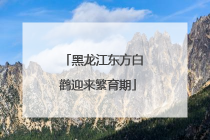 黑龙江东方白鹳迎来繁育期