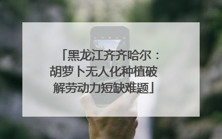 黑龙江齐齐哈尔：胡萝卜无人化种植破解劳动力短缺难题