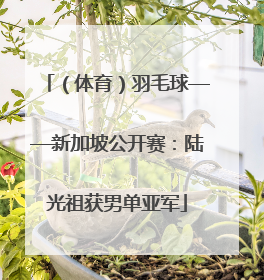 （体育）羽毛球——新加坡公开赛：陆光祖获男单亚军