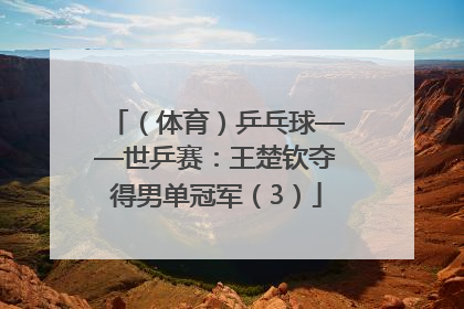 （体育）乒乓球——世乒赛：王楚钦夺得男单冠军（3）