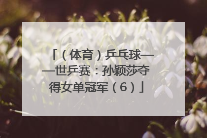 （体育）乒乓球——世乒赛：孙颖莎夺得女单冠军（6）