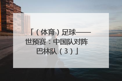 （体育）足球——世预赛：中国队对阵巴林队（3）