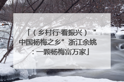 （乡村行·看振兴）“中国杨梅之乡”浙江余姚：一颗杨梅富万家