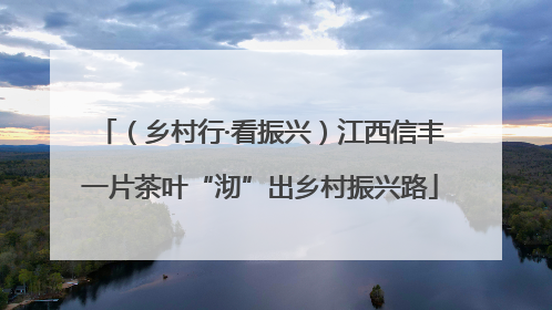 （乡村行·看振兴）江西信丰一片茶叶“沏”出乡村振兴路