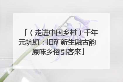 （走进中国乡村）千年元坑镇：旧矿新生融古韵 原味乡俗引客来