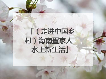 （走进中国乡村）海南疍家人 水上新生活