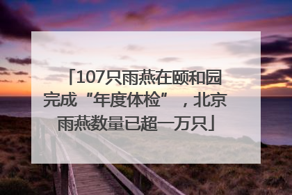 107只雨燕在颐和园完成“年度体检”，北京雨燕数量已超一万只