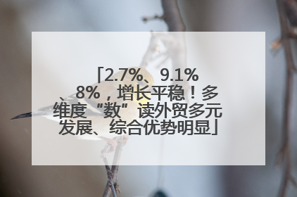 2.7%、9.1%、8%，增长平稳！多维度“数”读外贸多元发展、综合优势明显