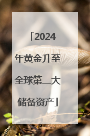 2024年黄金升至全球第二大储备资产