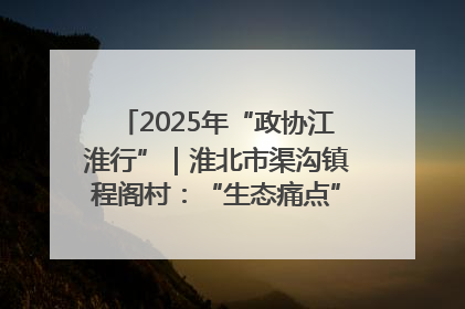 2025年“政协江淮行”｜淮北市渠沟镇程阁村：“生态痛点”变“生态景观”