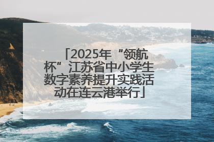 2025年“领航杯”江苏省中小学生数字素养提升实践活动在连云港举行