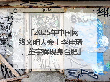 2025年中国网络文明大会丨李佳琦、董宇辉现身合肥
