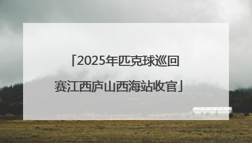 2025年匹克球巡回赛江西庐山西海站收官