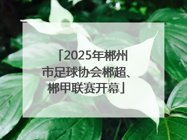 2025年郴州市足球协会郴超、郴甲联赛开幕