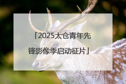 2025太仓青年先锋影像季启动征片