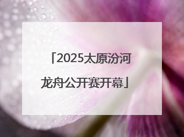 2025太原汾河龙舟公开赛开幕