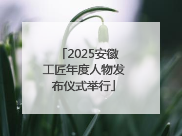 2025安徽工匠年度人物发布仪式举行