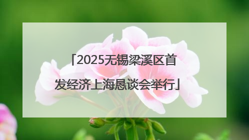 2025无锡梁溪区首发经济上海恳谈会举行