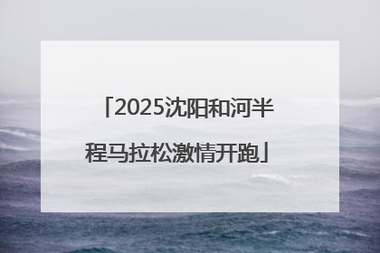 2025沈阳和河半程马拉松激情开跑