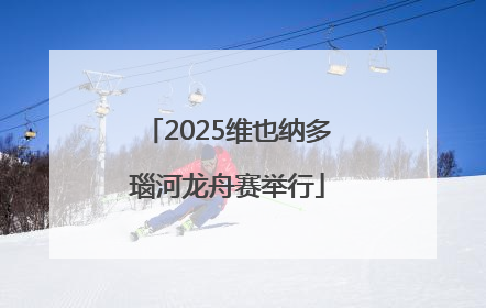 2025维也纳多瑙河龙舟赛举行