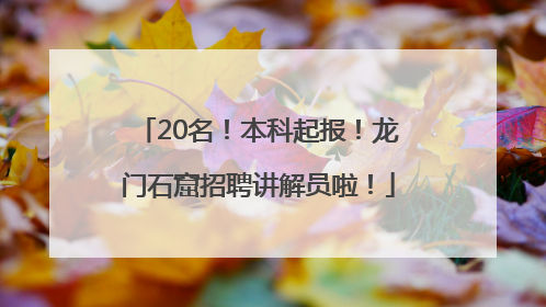 20名！本科起报！龙门石窟招聘讲解员啦！