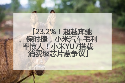 23.2%！超越奔驰、保时捷，小米汽车毛利率惊人！小米YU7搭载消费级芯片惹争议