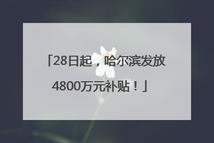 28日起，哈尔滨发放4800万元补贴！