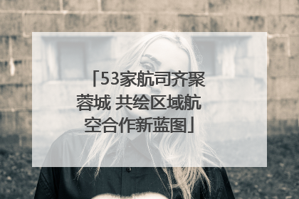 53家航司齐聚蓉城 共绘区域航空合作新蓝图