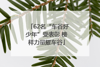 62名“车谷好少年”受表彰 榜样力量耀车谷