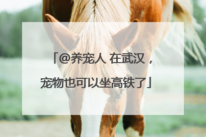 @养宠人 在武汉，宠物也可以坐高铁了